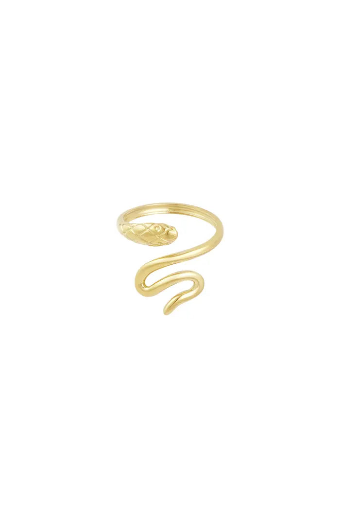 Slangen ring